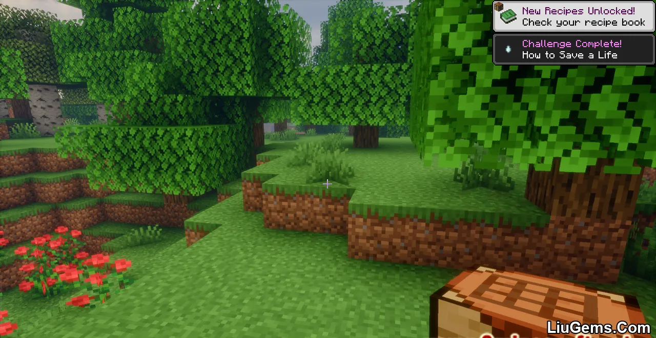 Hardcore Revive Plus Mod Screenshot 04 Hardcore Revive Plus Mod Screenshot 04
