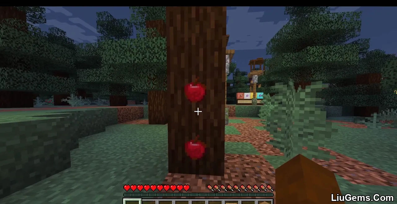 Invisible Item Frames Screenshot 10 Invisible Item Frames Screenshot 10