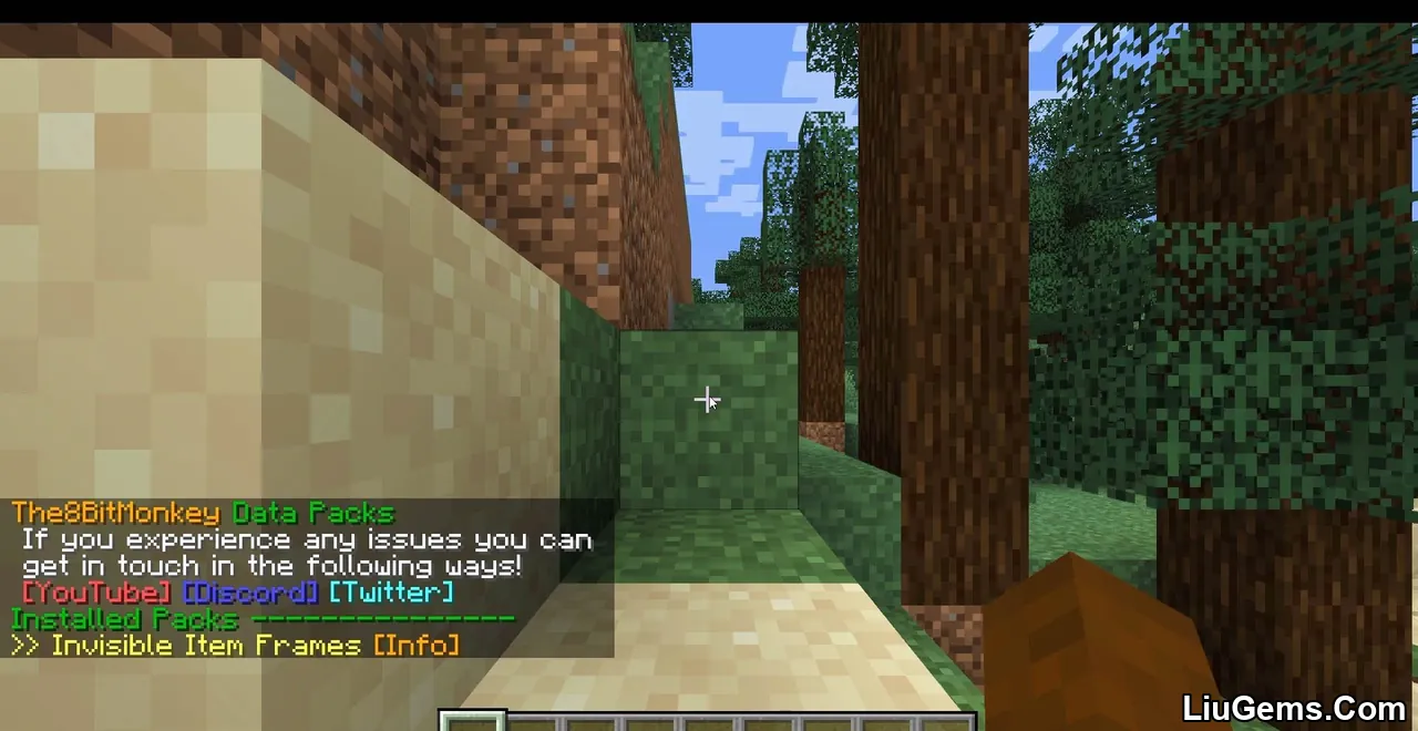Invisible Item Frames Screenshot 12 Invisible Item Frames Screenshot 12