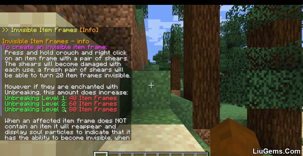 Invisible Item Frames Screenshot 13 Invisible Item Frames Screenshot 13