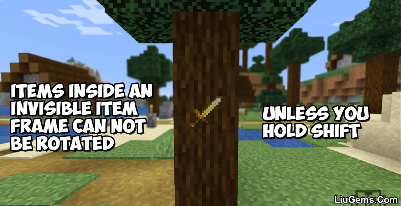 Invisible Item Frames Screenshot 2 Invisible Item Frames Screenshot 2