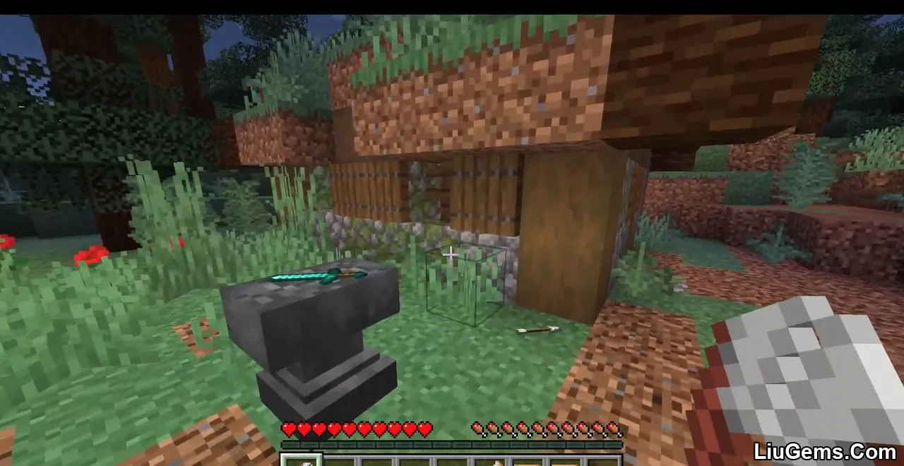 Invisible Item Frames Screenshot 8 Invisible Item Frames Screenshot 8