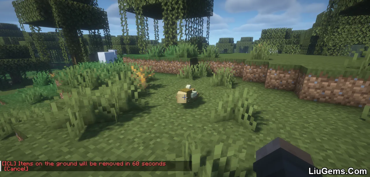 Item Clearlag Mod Screenshots 7 Item Clearlag Mod Screenshots 7