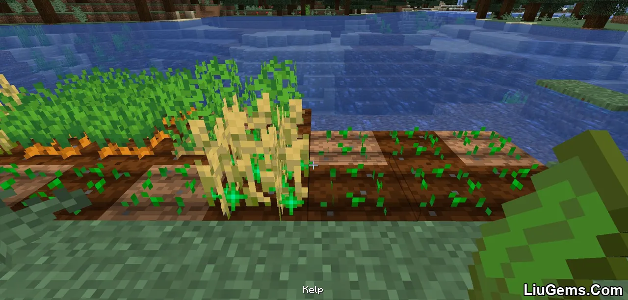 Kelp Fertilizer Mod Screenshots 11 Kelp Fertilizer Mod Screenshots 11