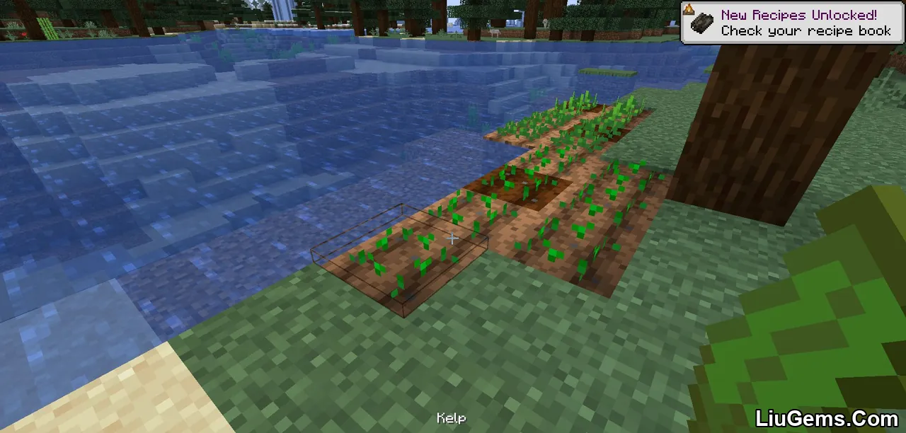 Kelp Fertilizer Mod Screenshots 2 Kelp Fertilizer Mod Screenshots 2
