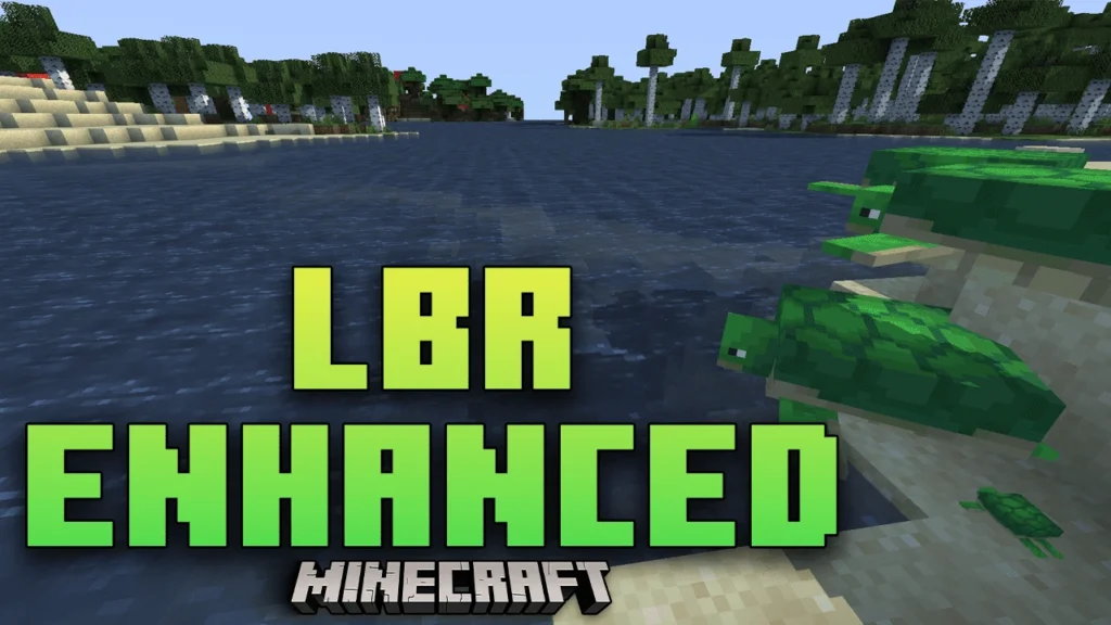 LBR-Enhanced Shaders
