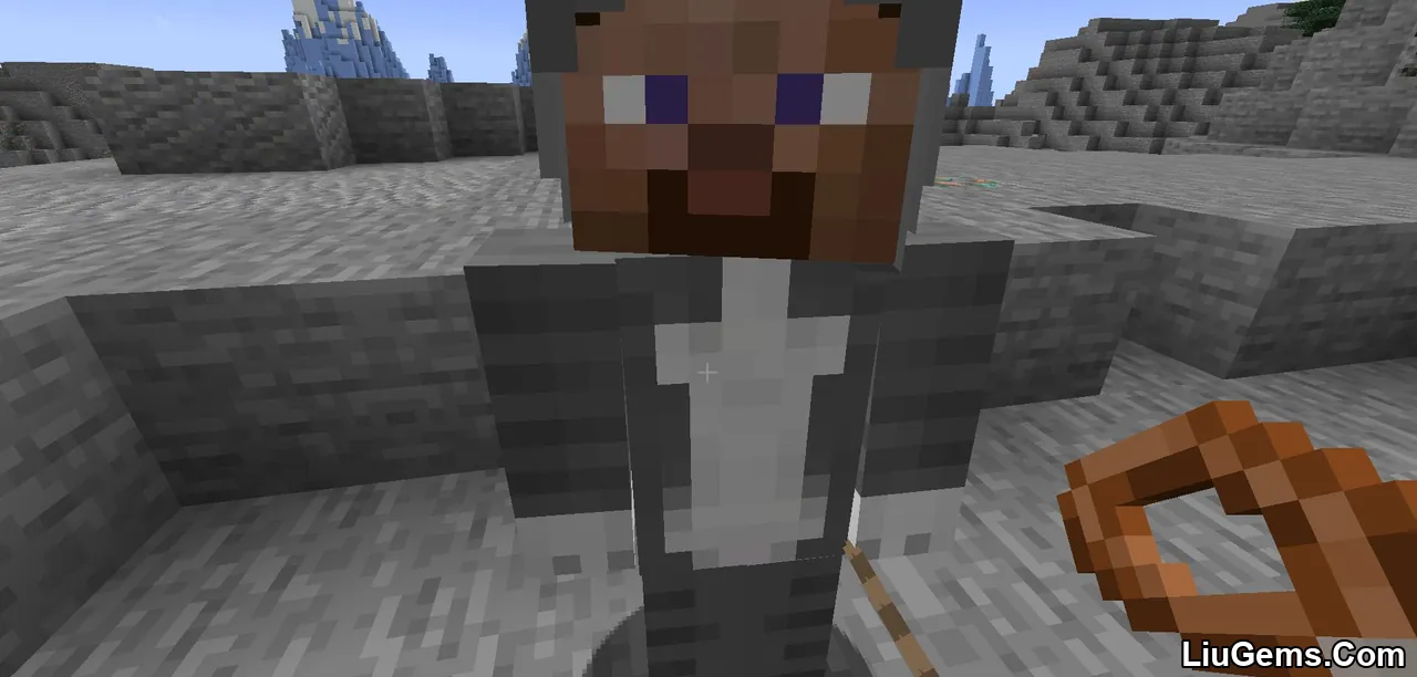 Leashable Players Mod Screenshots 6 Leashable Players Mod Screenshots 6