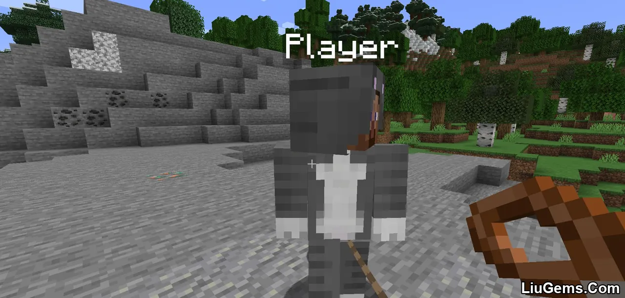 Leashable Players Mod Screenshots 7 Leashable Players Mod Screenshots 7