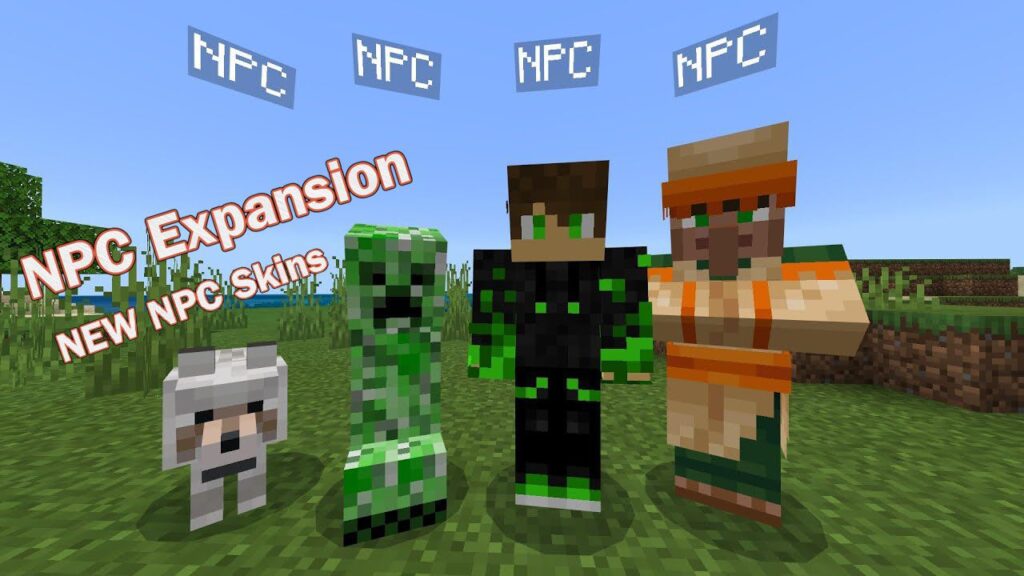 NPC Expansion Addon