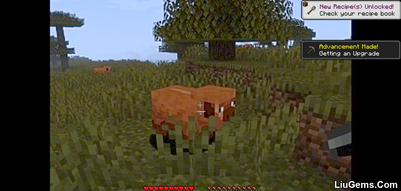 Mc Vhs Shaders Screenshots 10 Mc Vhs Shaders Screenshots 10