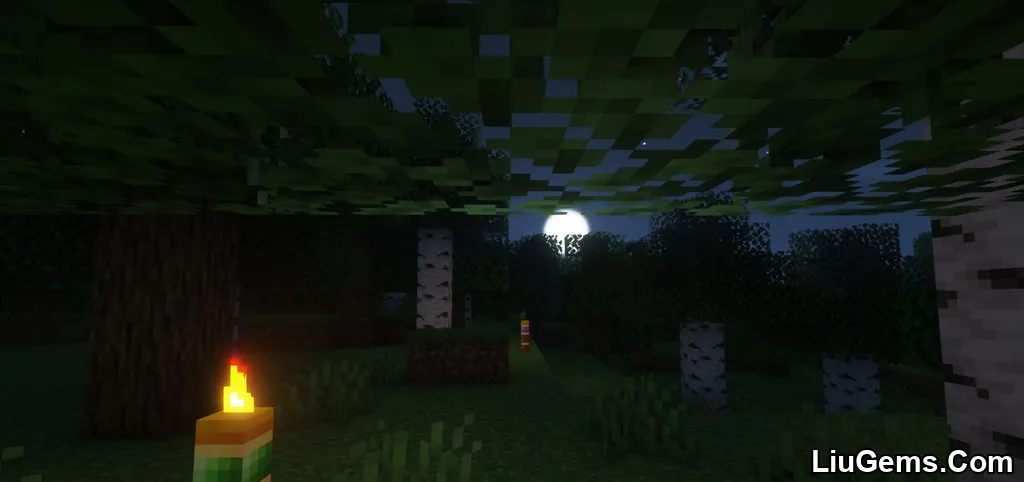 Magnum Torch Mod Screenshots 06 Magnum Torch Mod Screenshots 06