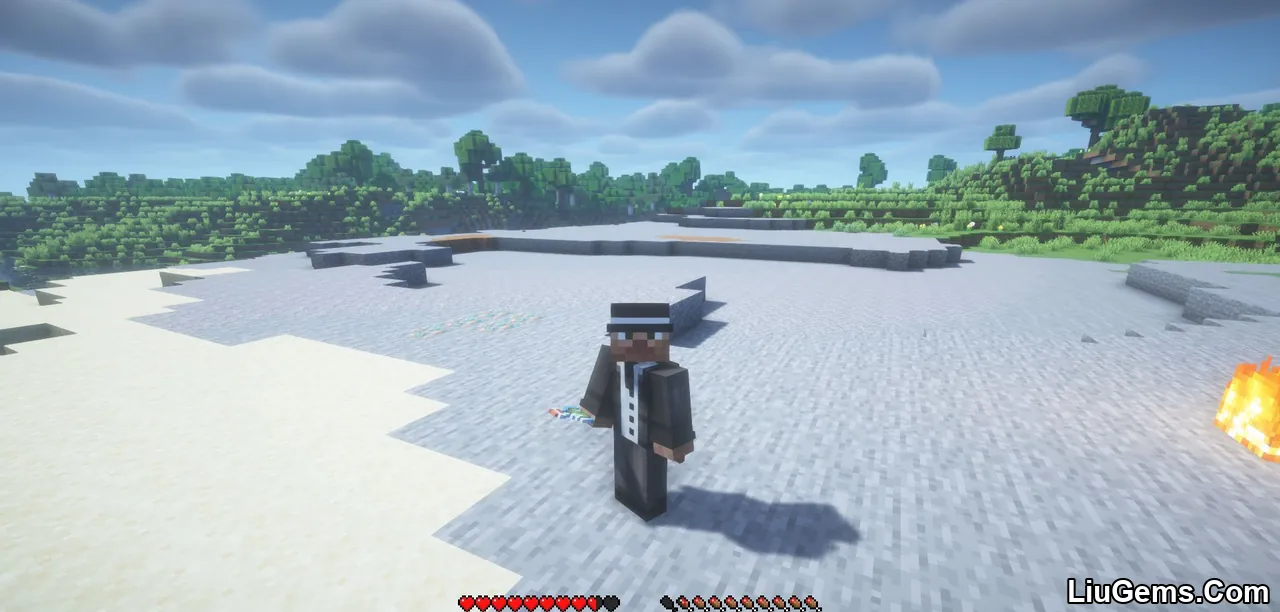 More Heart Types Mod Screenshots 10 More Heart Types Mod Screenshots 10