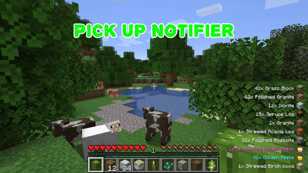 Pick Up Notifier Mod