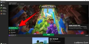 Quilt Installer Screenshots 2