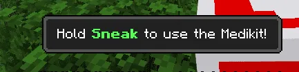 Revive Me Addon Mcpe 8 Revive Me Addon Mcpe 8