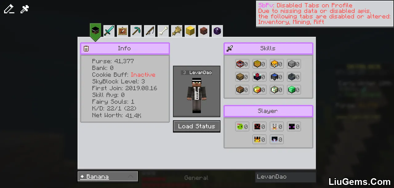Skyblock Profile Viewer Mod Screenshots 2 Skyblock Profile Viewer Mod Screenshots 2