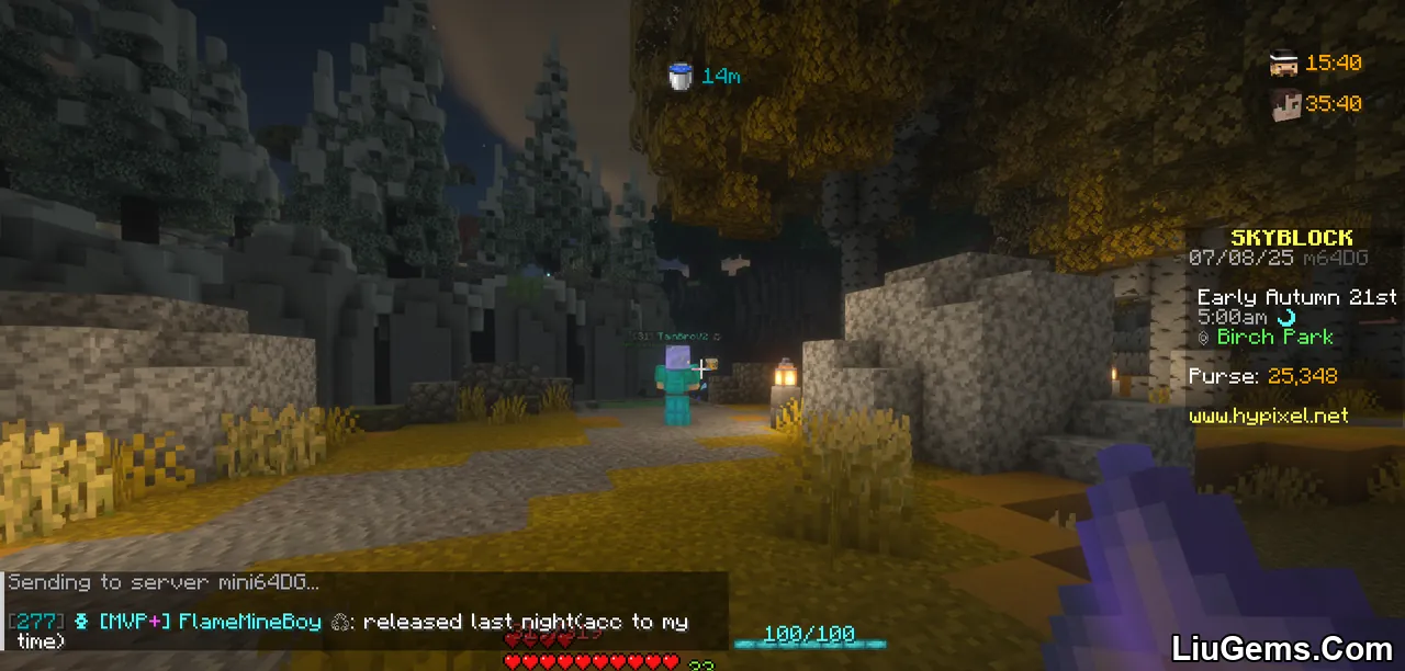 Skyblock Addons Unofficial Mod Screenshots 2 Skyblock Addons Unofficial Mod Screenshots 2