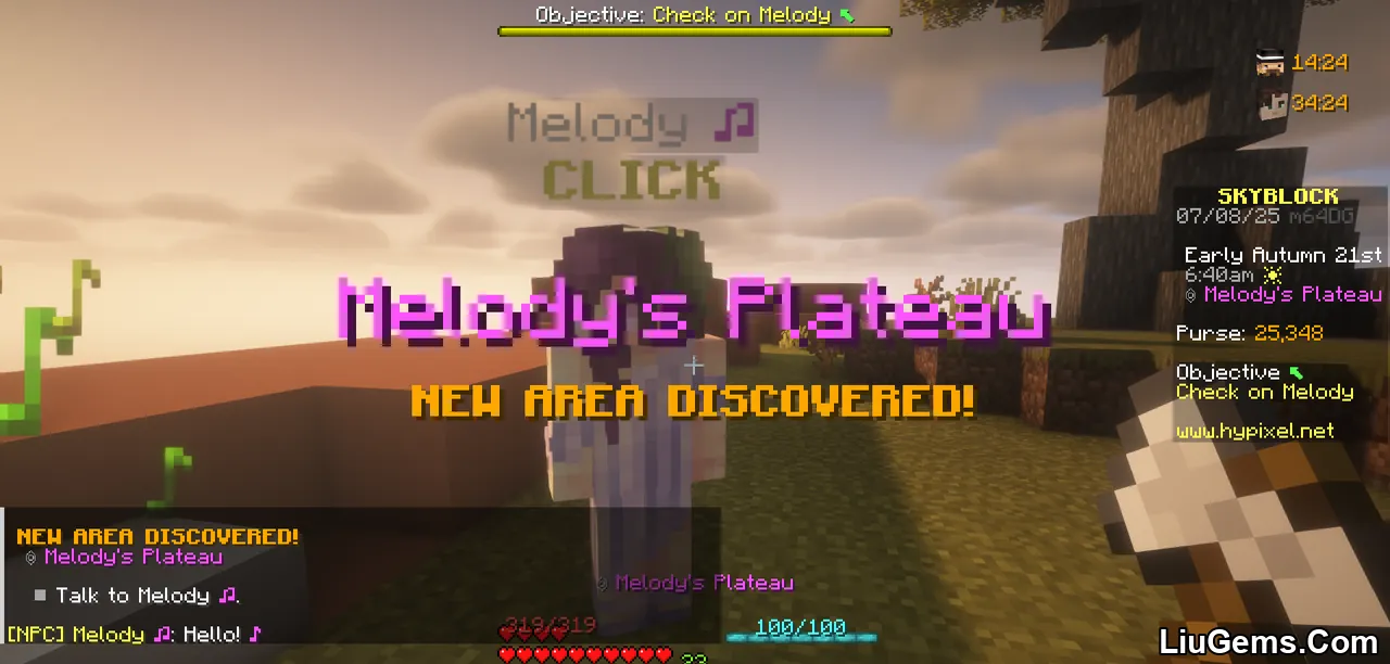 Skyblock Addons Unofficial Mod Screenshots 6 Skyblock Addons Unofficial Mod Screenshots 6