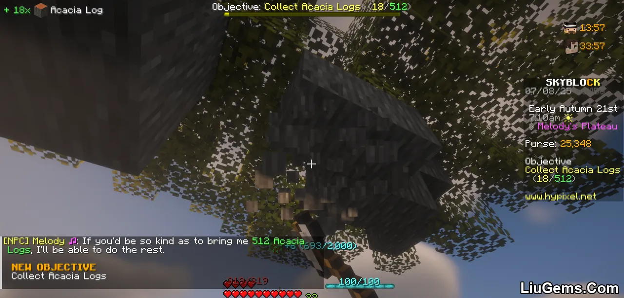 Skyblock Addons Unofficial Mod Screenshots 7 Skyblock Addons Unofficial Mod Screenshots 7