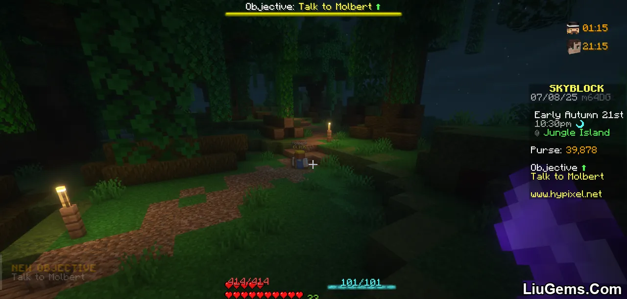 Skyblock Addons Unofficial Mod Screenshots 8 Skyblock Addons Unofficial Mod Screenshots 8