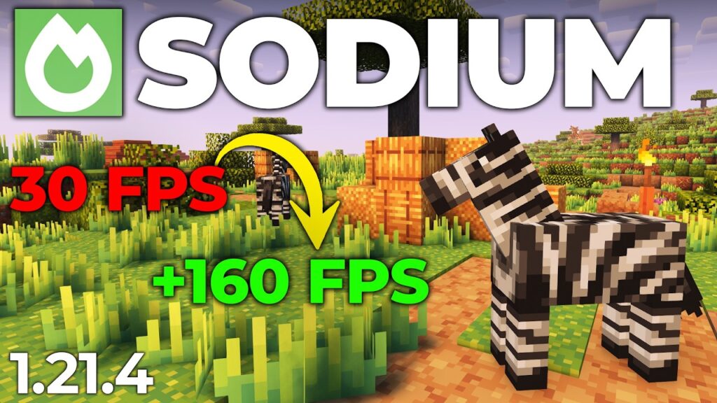 Sodium Mod