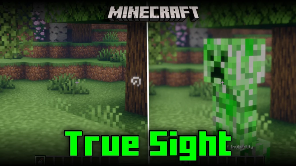True Sight Mod