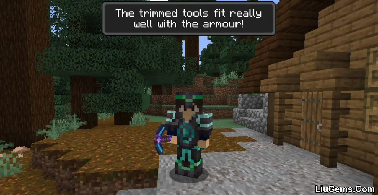 Tool Trims Mod Screenshots 11 Tool Trims Mod Screenshots 11