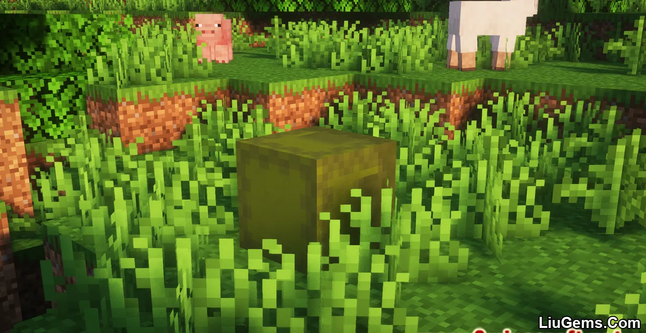 Turtle Totes Mod Screenshot 03 Turtle Totes Mod Screenshot 03