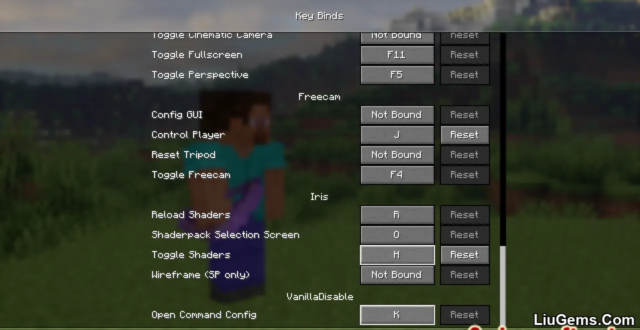 Vanilla Disable Mod Screenshot 01 Vanilla Disable Mod Screenshot 01