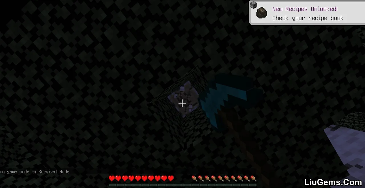 Vanilla Paxels Data Pack Screenshots 7 Vanilla Paxels Data Pack Screenshots 7