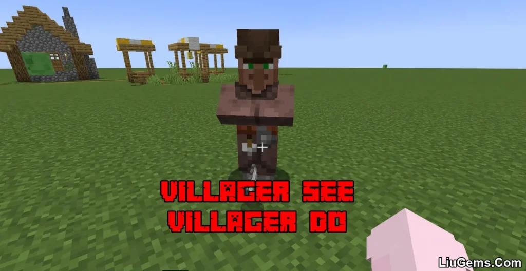 Villager See Villager Do Mod