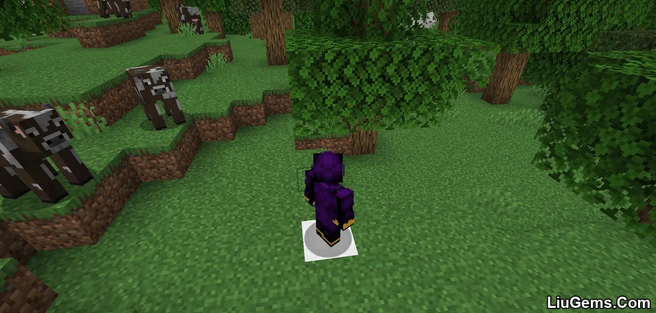 Vsngamers Elevator Mod Screenshots 7 Vsngamers Elevator Mod Screenshots 7
