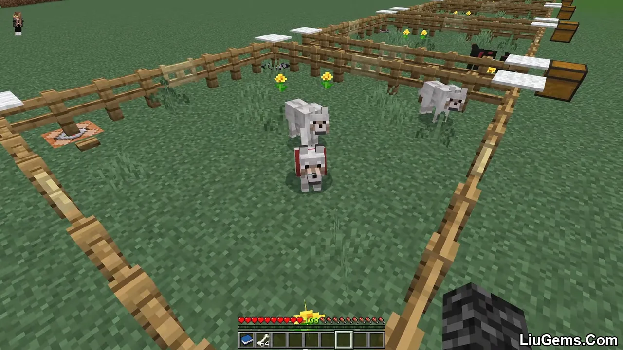 Wolves Plus Addon Mcpe 1 Wolves Plus Addon Mcpe 1