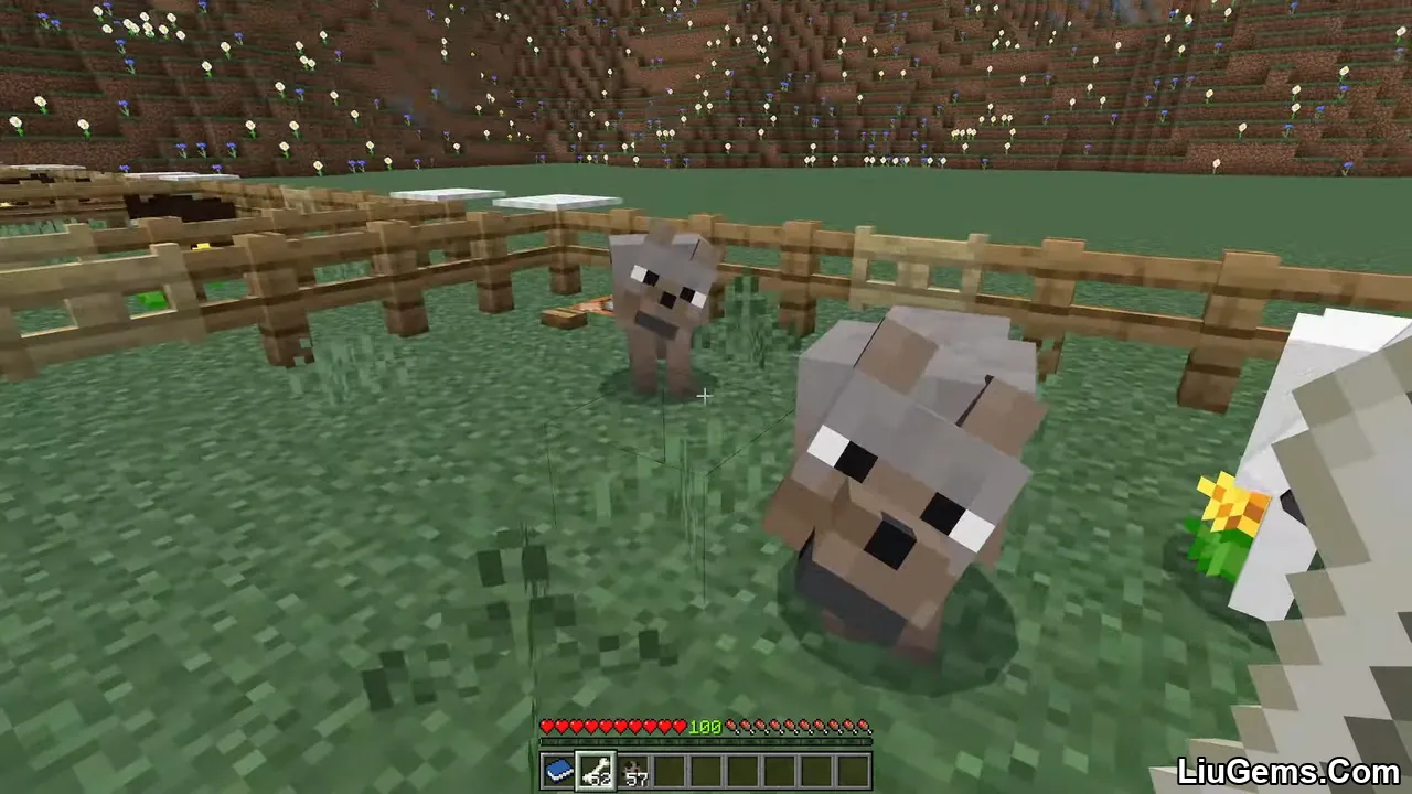 Wolves Plus Addon Mcpe 4 Wolves Plus Addon Mcpe 4