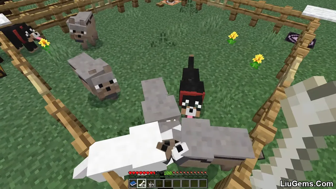 Wolves Plus Addon Mcpe 5 Wolves Plus Addon Mcpe 5