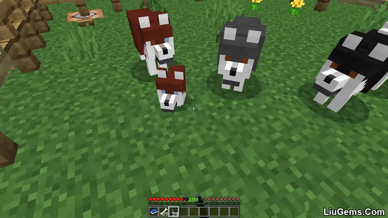 Wolves Plus Addon Mcpe 6 Wolves Plus Addon Mcpe 6