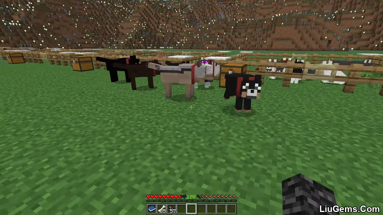 Wolves Plus Addon Mcpe 7 Wolves Plus Addon Mcpe 7