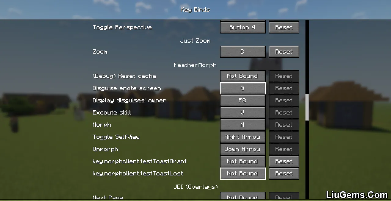 Feathermorphclient Mod Screenshots 5 Feathermorphclient Mod Screenshots 5