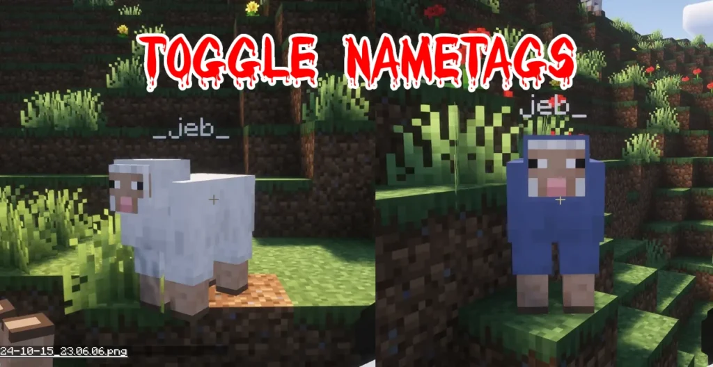 Toggle Nametags Mod