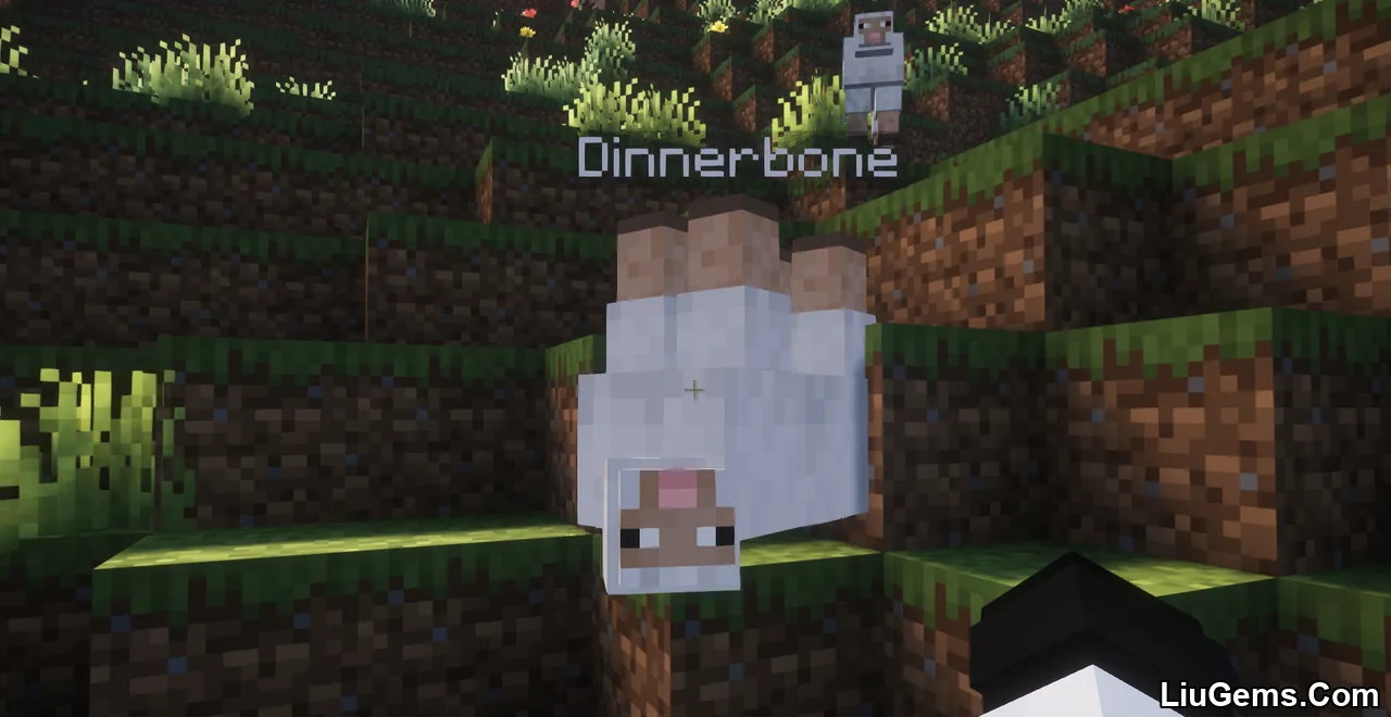 Toggle Nametags Mod Screenshots 2 Toggle Nametags Mod Screenshots 2