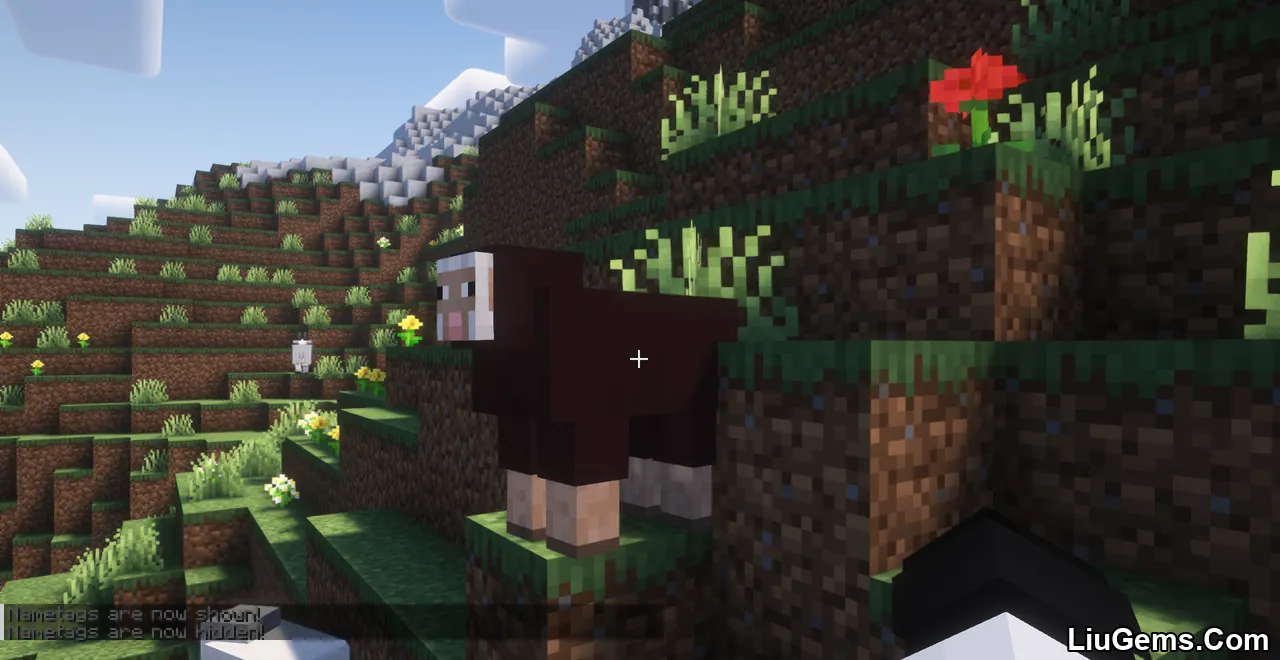 Toggle Nametags Mod Screenshots 5 Toggle Nametags Mod Screenshots 5