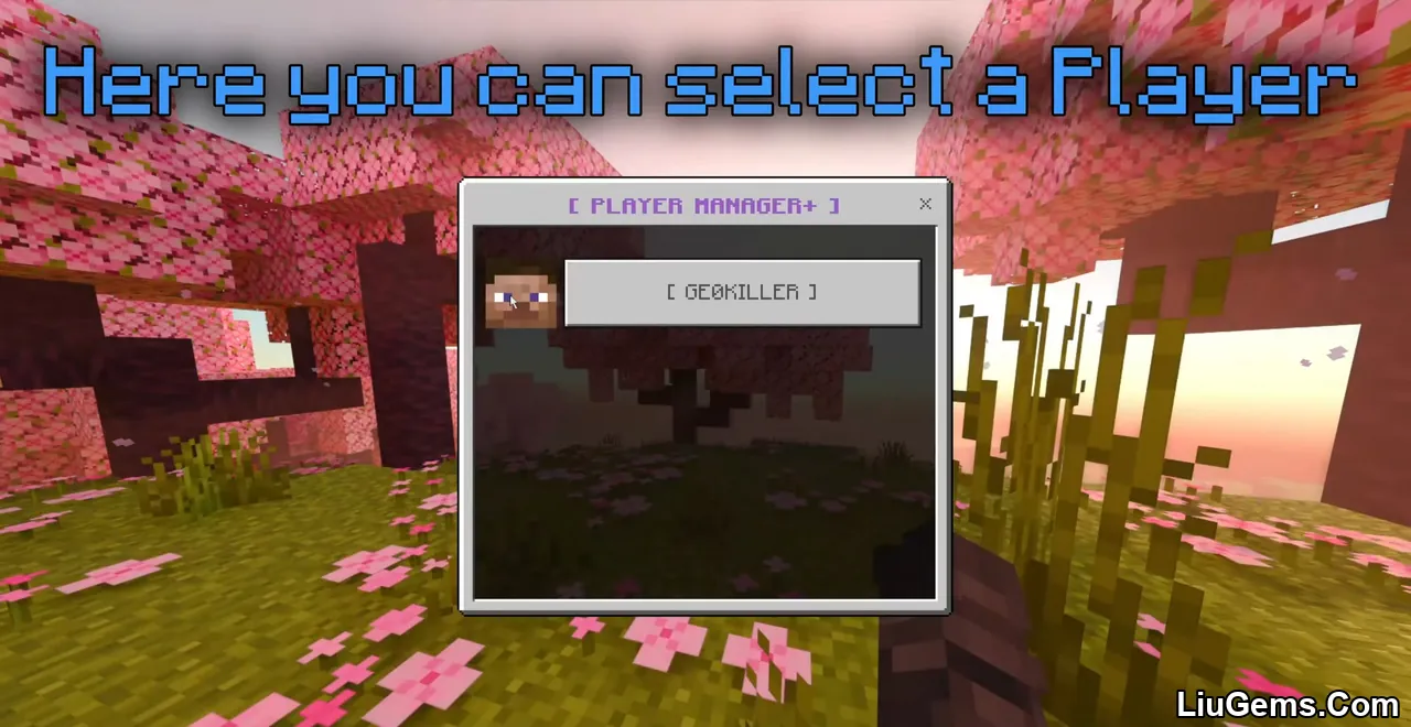 Better Chat Ranks Addon Mcpe 1 Better Chat Ranks Addon Mcpe 1