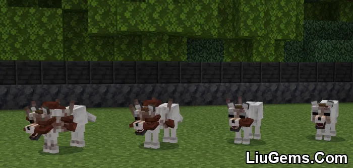 Fungus Hazard Addon Mcpe 2 Fungus Hazard Addon Mcpe 2