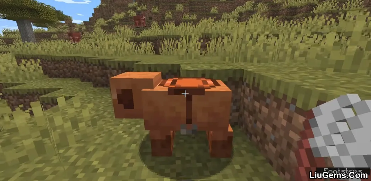 Minecraft 1.21.6 Snapshot 25W20A Screenshots 15 Minecraft 1.21.6 Snapshot 25W20A Screenshots 15