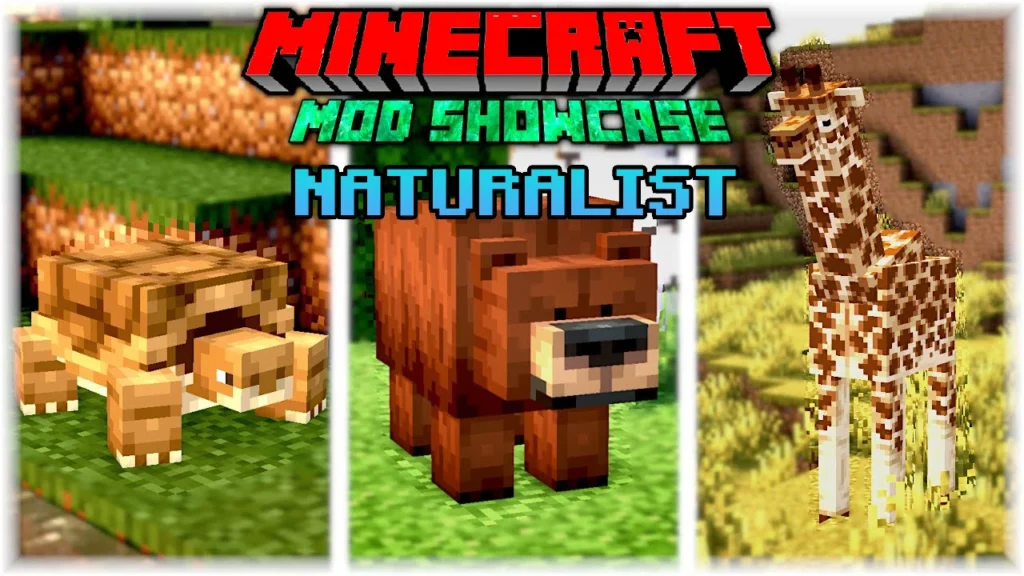 Naturalist Addon